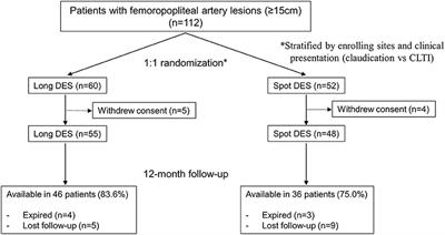 Long coverage with drug-eluting stents is superior to spot coverage for long femoropopliteal artery disease: PARADE II study